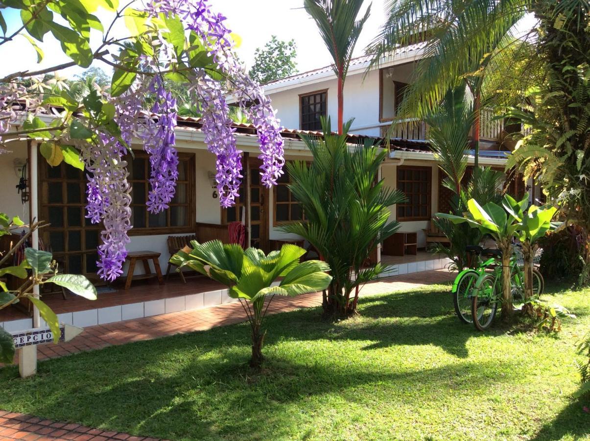 Posada Nena Caribe Puerto Viejo de Talamanca Экстерьер фото