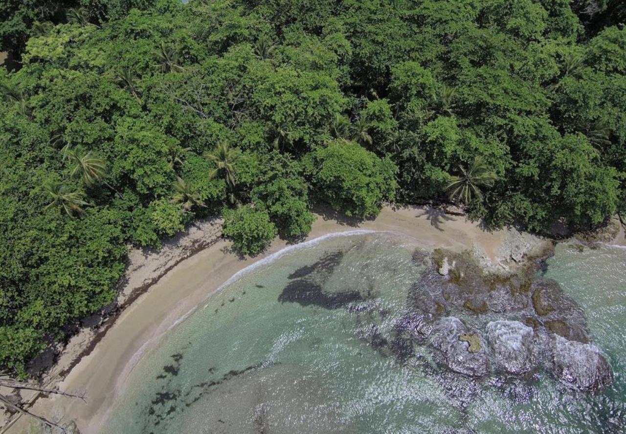Posada Nena Caribe Puerto Viejo de Talamanca Экстерьер фото