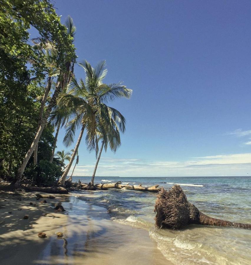 Posada Nena Caribe Puerto Viejo de Talamanca Экстерьер фото