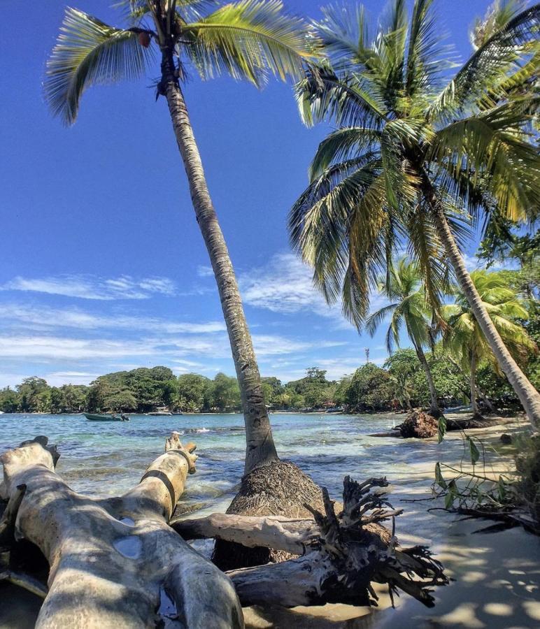 Posada Nena Caribe Puerto Viejo de Talamanca Экстерьер фото